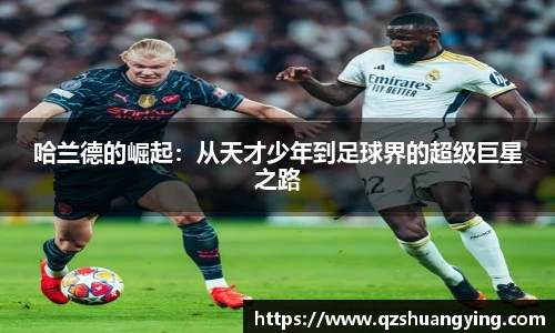 快盈VIII平台官网